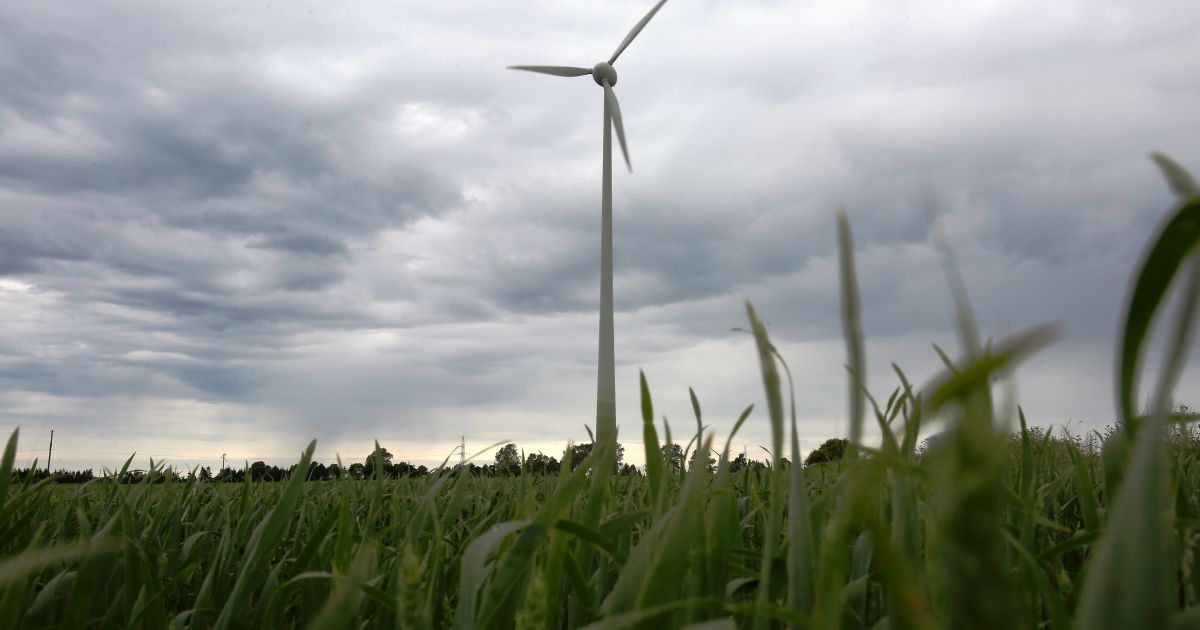 Promowanie energii wiatrowej i słonecznej, wyjaśnianie, gdzie budowane są elektrownie – Respublika.lt