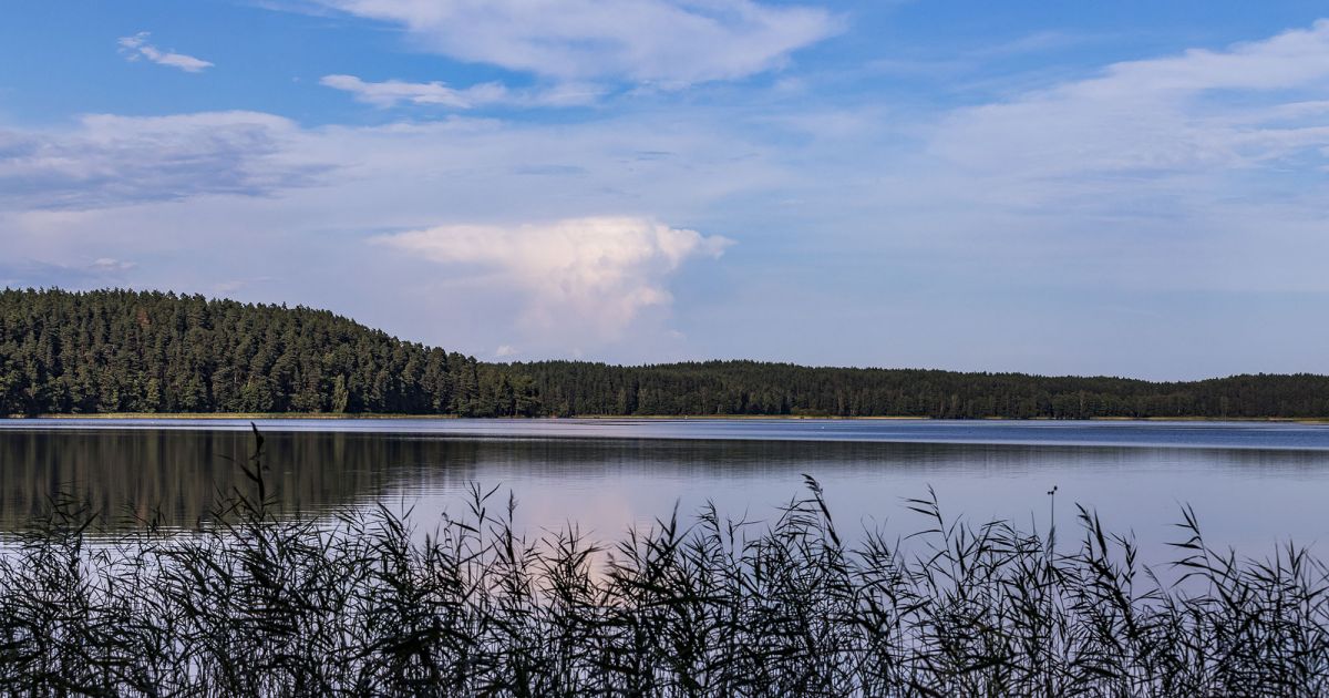 7 sierpnia imieniny i inne ciekawostki – Respublika.lt