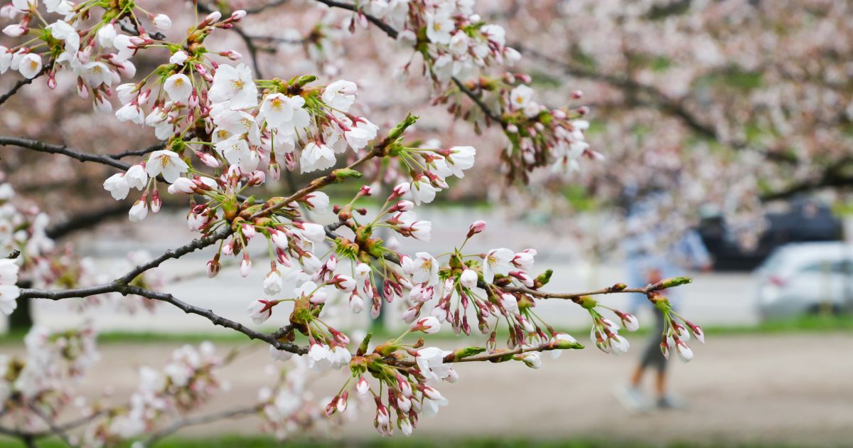 Święta 2 maja i inne ciekawe rzeczy – Respublika.lt