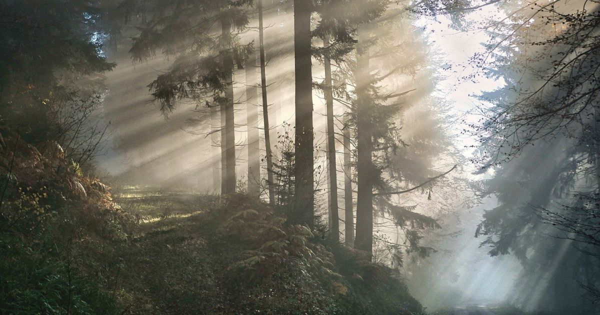 15 kwietnia wakacje i inne ciekawe rzeczy – Respublika.lt