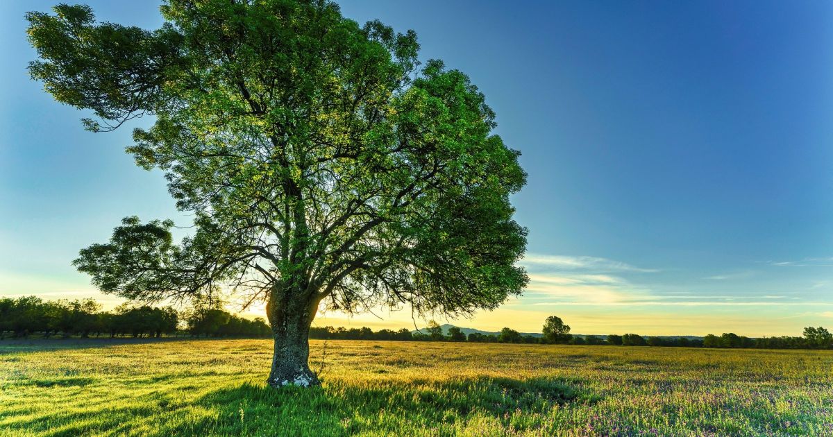 Święta 19 maja i inne ciekawe rzeczy – Respublika.lt