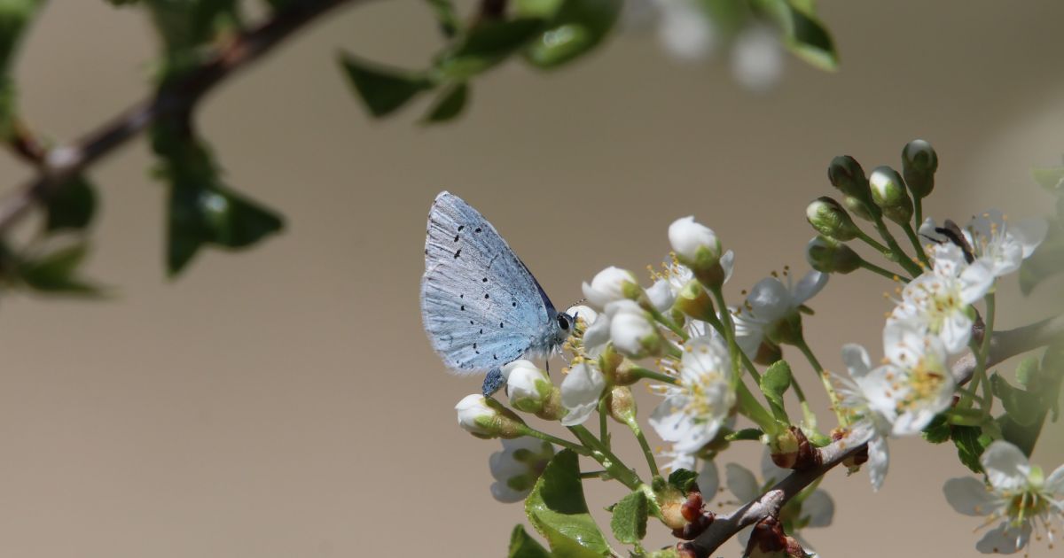 22 czerwca imieniny i inne ciekawostki – Respublika.lt