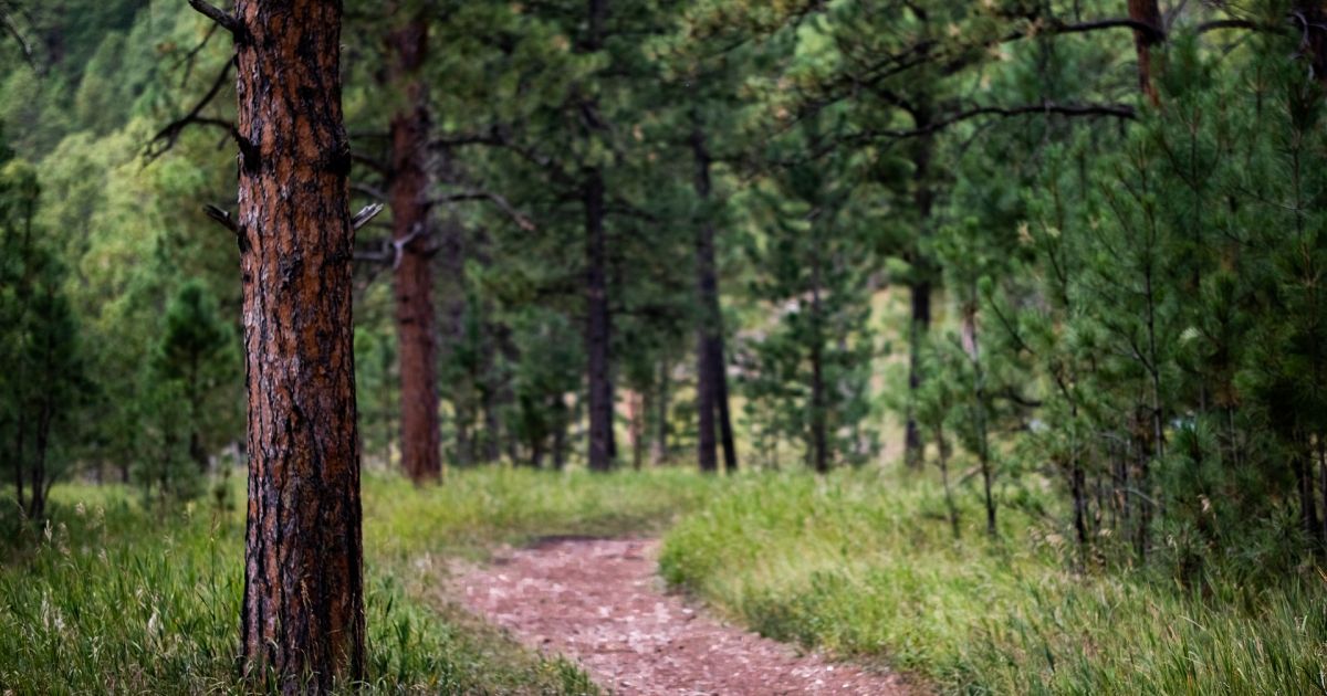 5 lipca imieniny i inne ciekawostki – Respublika.lt