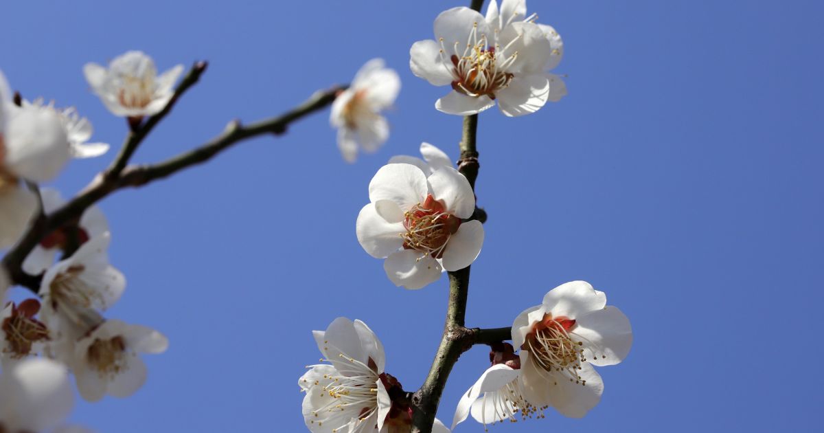 4 maja  wakacje i inne ciekawe rzeczy – Respublika.lt