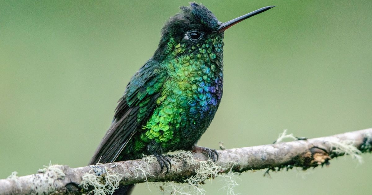 16 kwietnia wakacje i inne ciekawe rzeczy – Respublika.lt