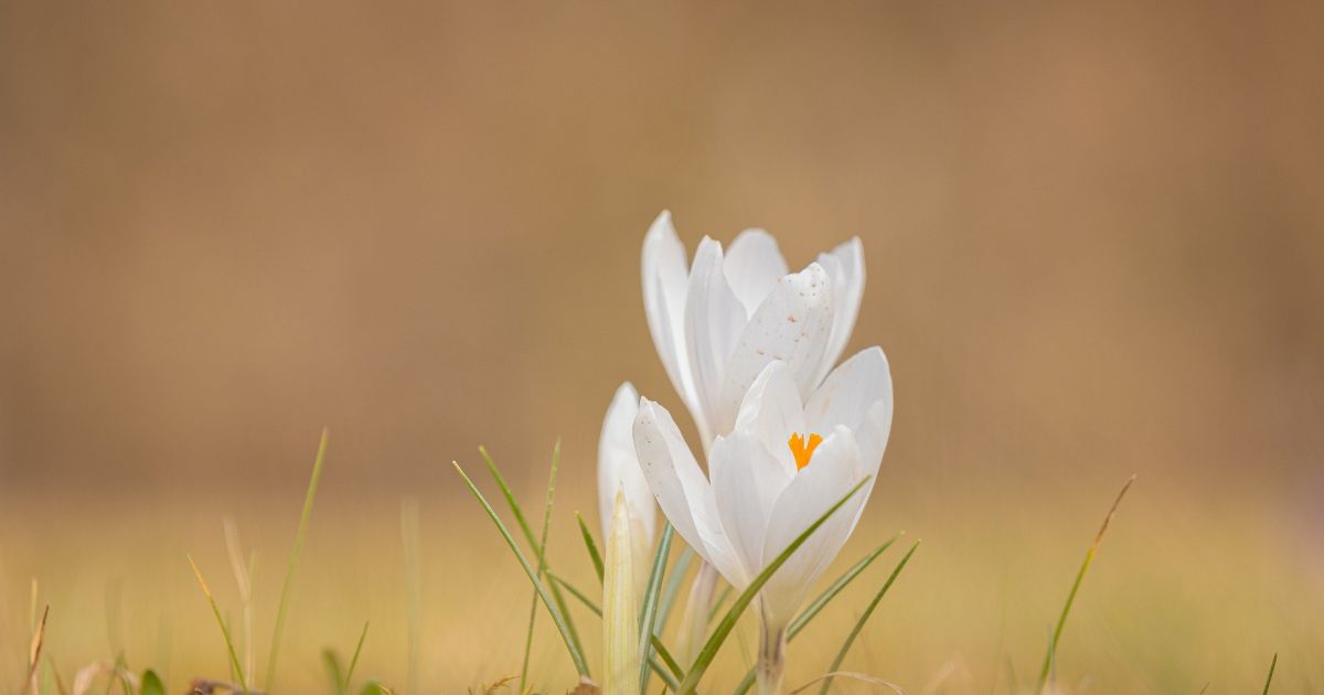 28 kwietnia wakacje i inne ciekawe rzeczy – Respublika.lt